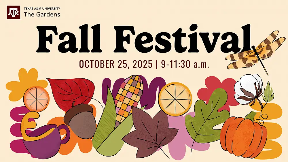 15693_Fall_Festival_Digital_Graphics_LiveWhale.rev.1753734580.webp