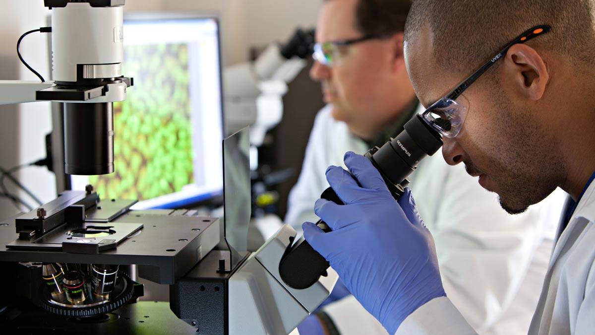 A researcher wearing lab protective gear looks into a microscope