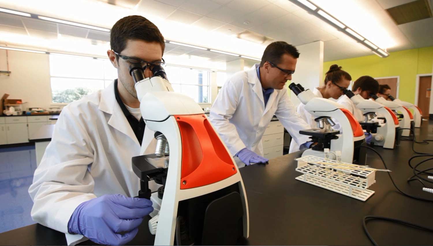 Graduate student researchers looking into microscopes